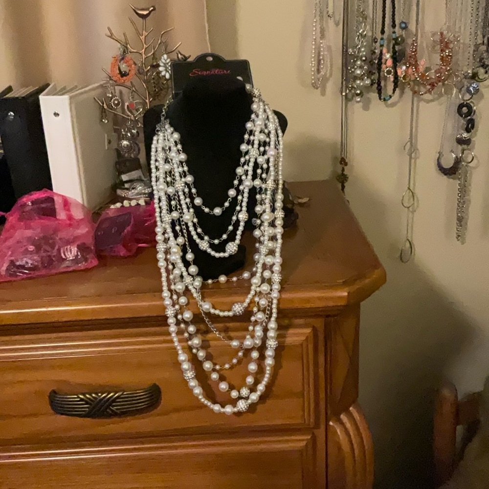 Zi paparazzi necklace (higher end section never used)